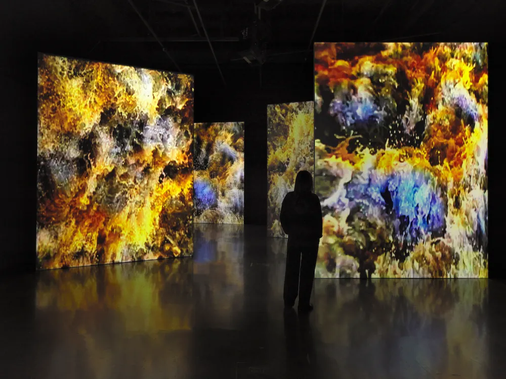Video Art Giant Steina Gets a Mind-Altering Retrospective